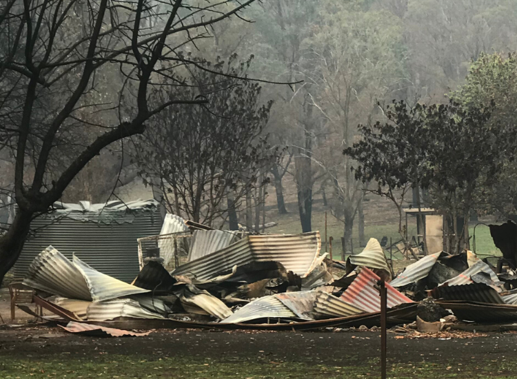 Bushfire aftermath